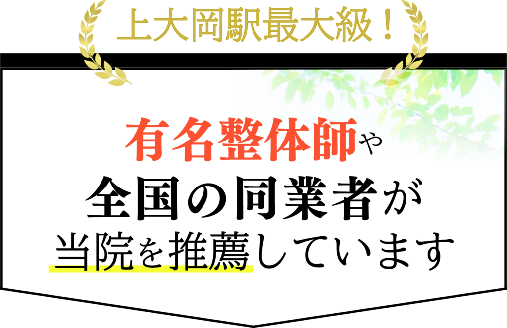 上大岡駅最大級!有名整体師や全国の同業者が当院を推薦しています。