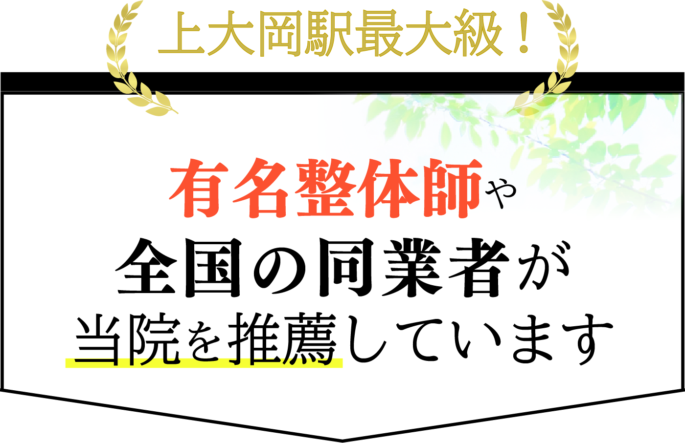 上大岡駅最大級！有名整体師や全国の同業者が当院を推薦しています。